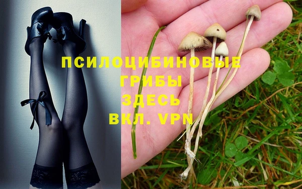 метадон Зеленодольск