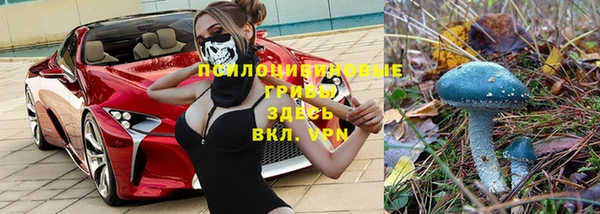метадон Зеленодольск