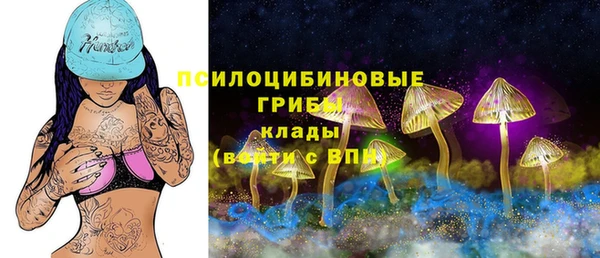 экстази Зеленокумск