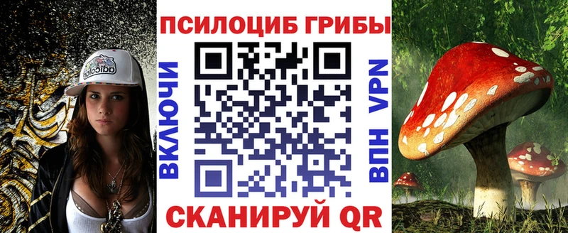 Купить где  Вуктыл  Псилоцибиновые грибы Magic Shrooms 